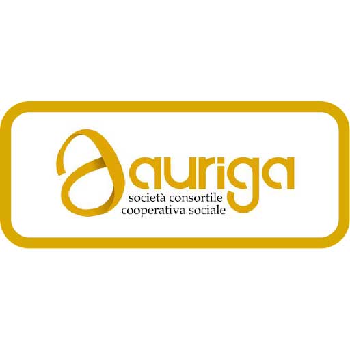 Auriga